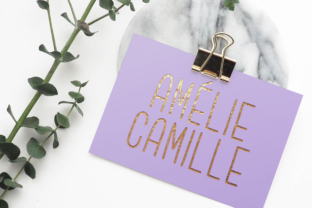 Amélie Camille Font for Web Design