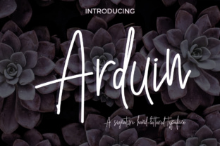 Arduin: A Handwritten Font with Character
