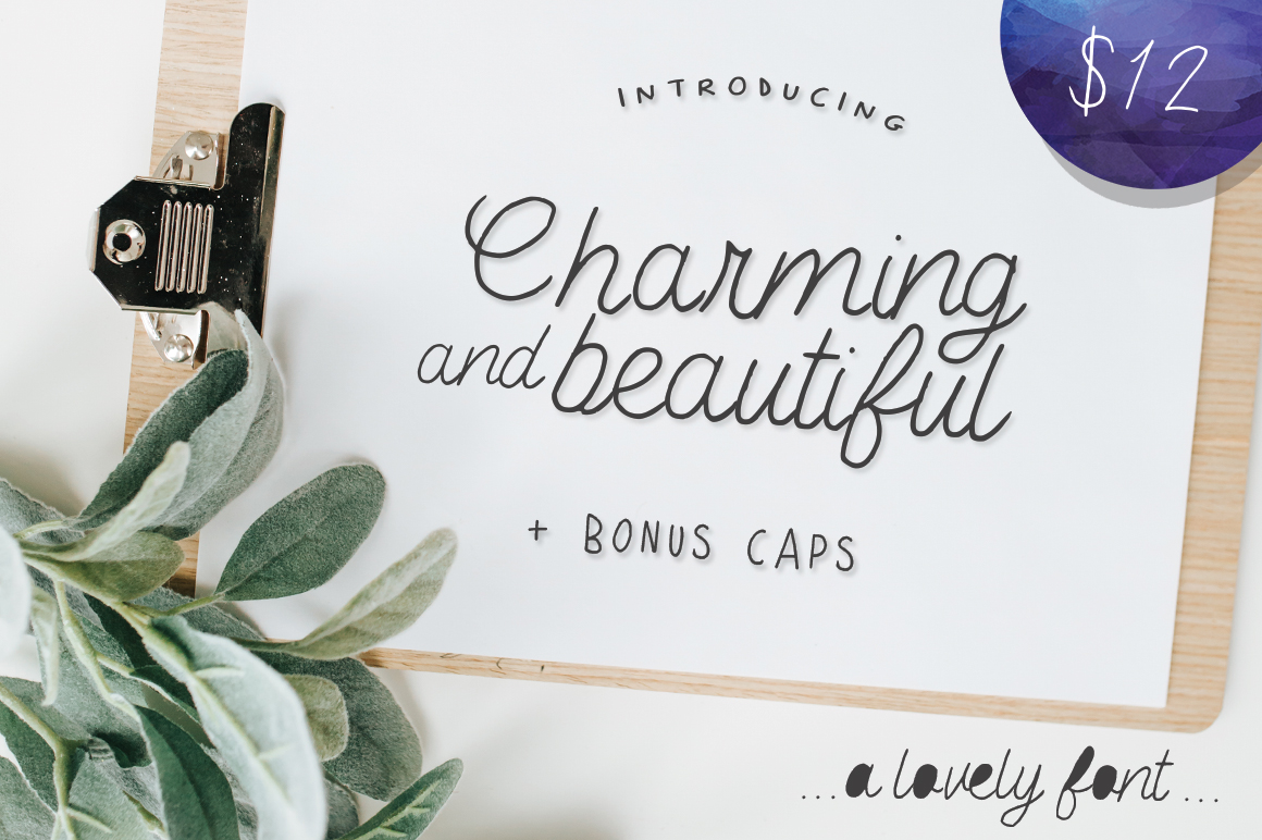 Charming Beautiful Font for Business
