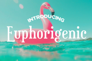 Euphorigenic: A Luxe Font for Web Design