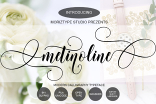 Metinoline Script: A Graceful Handwritten Font